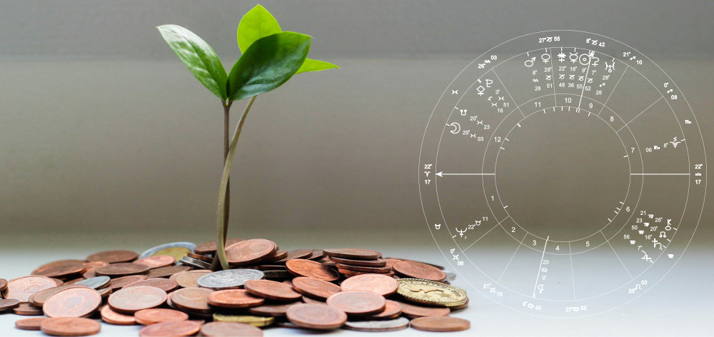 plant picture